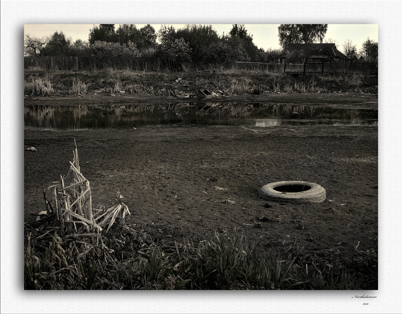 Фото жизнь (light) - DudinIO - Черно-белый альбом - У болота