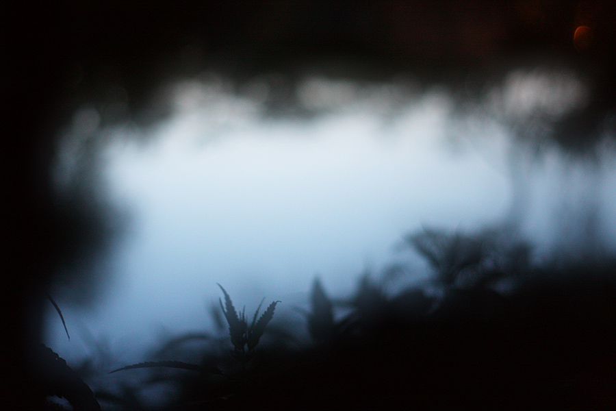 Фото жизнь (light) - Антонина Морозова - Природа - Смеркалось