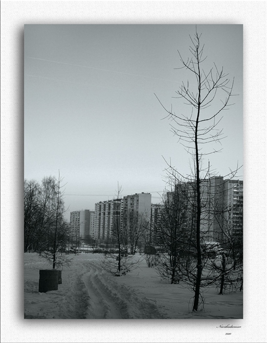 Фото жизнь