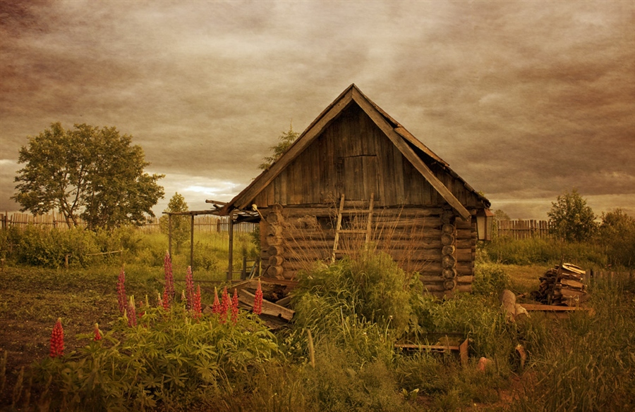 Фото жизнь