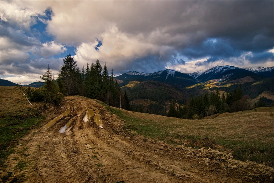 Фото жизнь