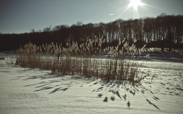 Фото жизнь (light) - Melanie - [nature] - winter sun