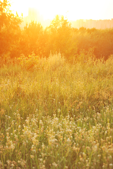 Фото жизнь (light) - Vifania - Nature - закат