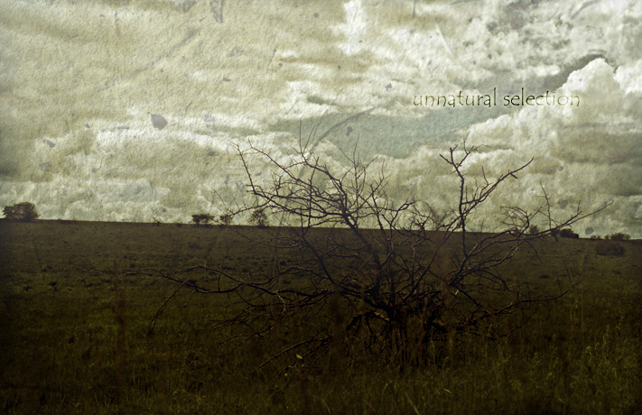 Фото жизнь (light) - Melanie - [nature] - unnatural selection