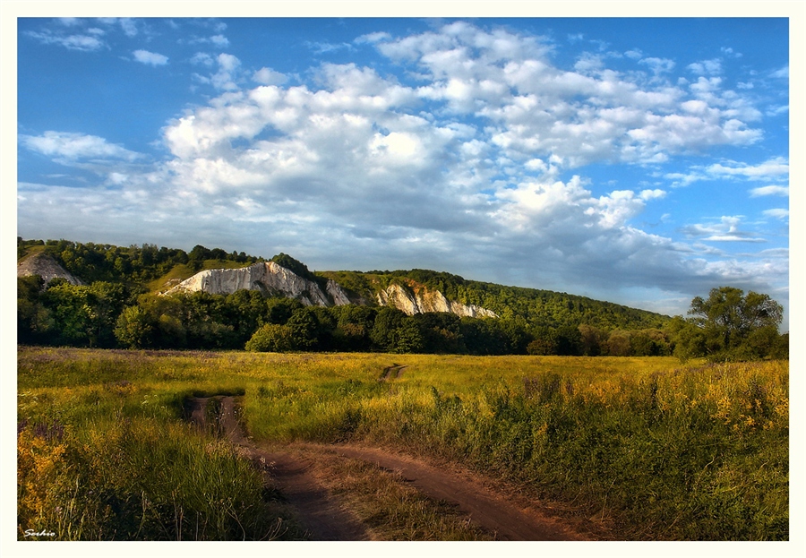 Фото жизнь