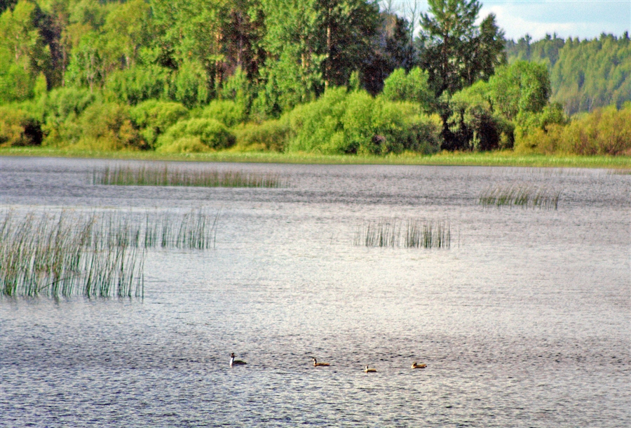Фото жизнь