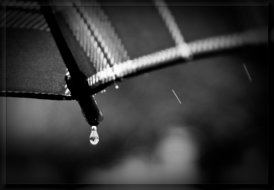 Фото жизнь (light) - igor_riff - корневой каталог - rain..
