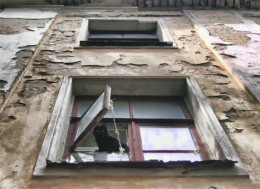 Фото жизнь (light) - Таня Павелко - корневой каталог - На предпоследнем этаже