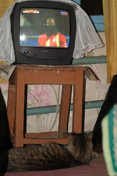 Кот футбольный болельщик