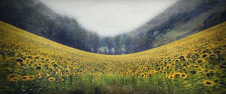 Фото жизнь (light) - _Vika_ - Пейзажи - ***