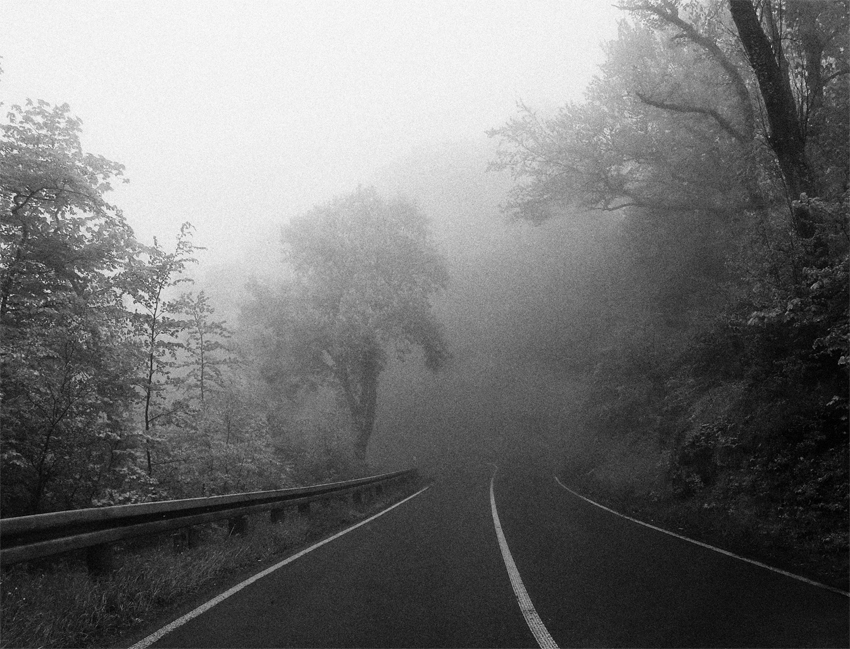Фото жизнь - mystera - Faszination Nebel. - "Es gibt immer nur einen richtigen Weg;Deinen eigenen!"