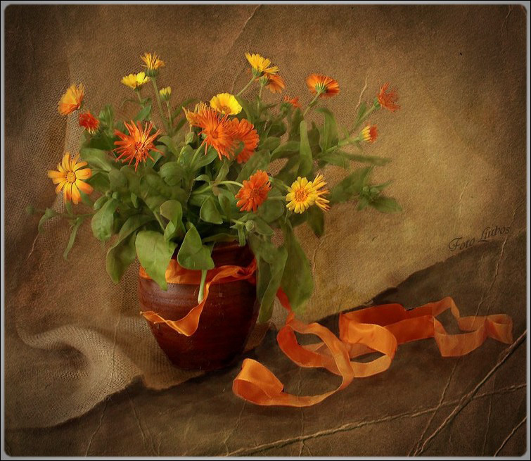 Фото жизнь - Любовь Селиванова (Liubos) - Натюрморты - натюрморт с оранжевой лентой