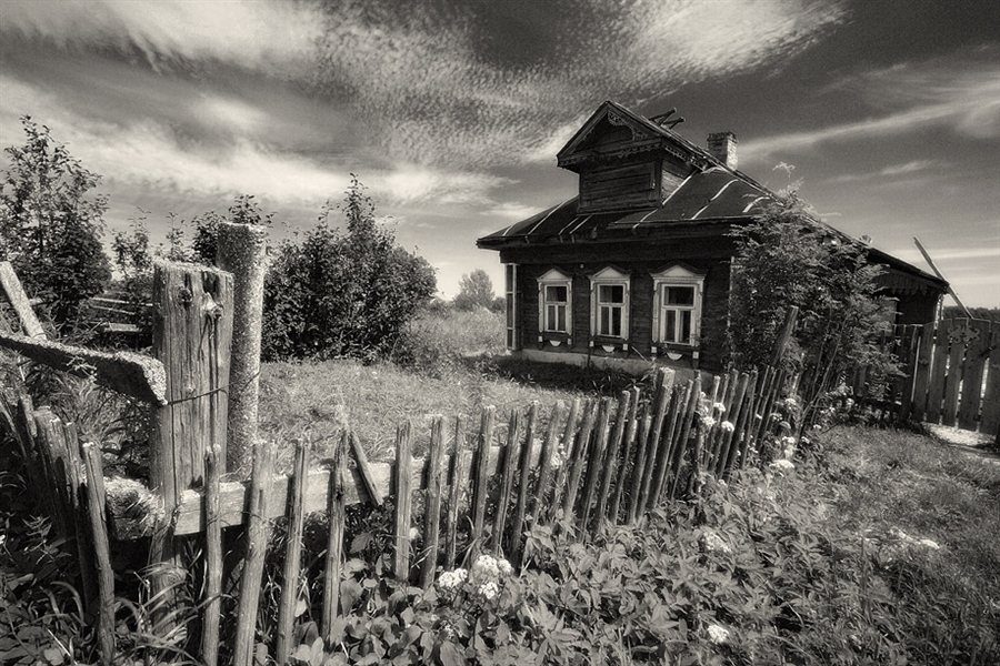 Фото жизнь