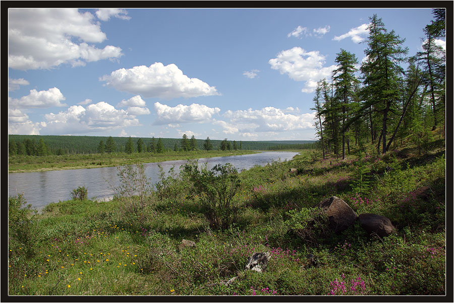 Фото жизнь - Виктор Солодухин - Таёжное лето - Река Далдын