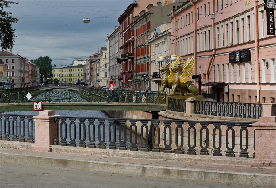 Фото жизнь