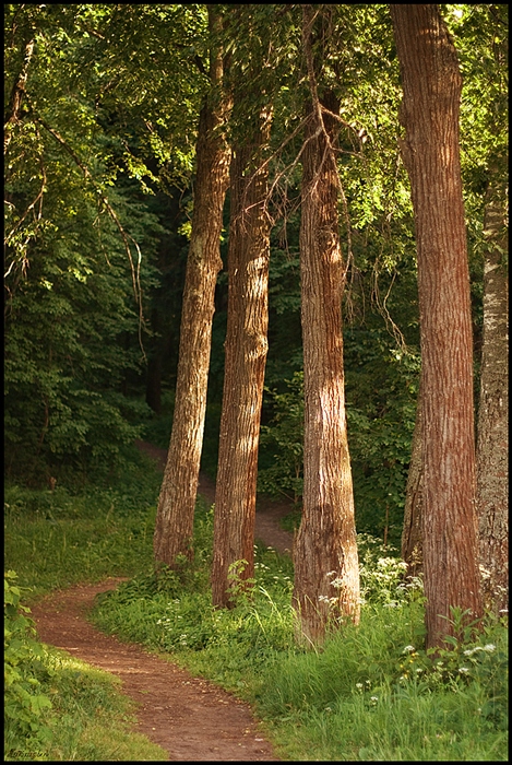 Фото жизнь