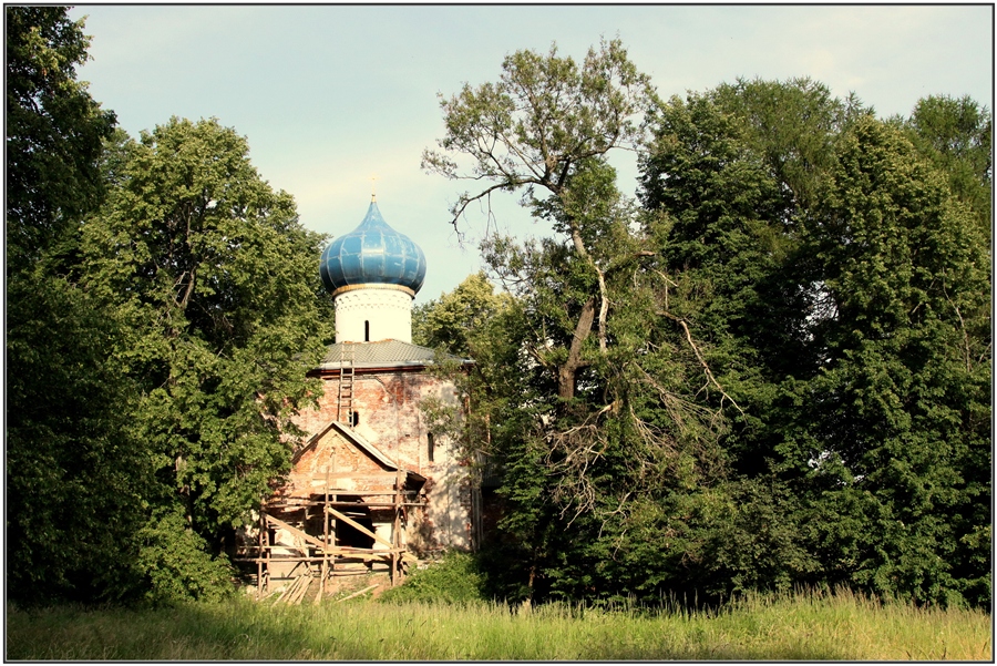Фото жизнь