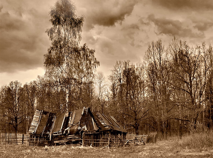 Фото жизнь