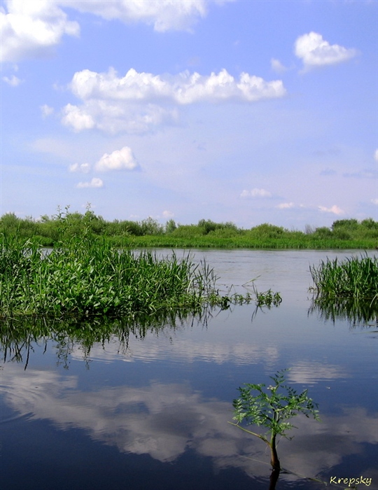 река