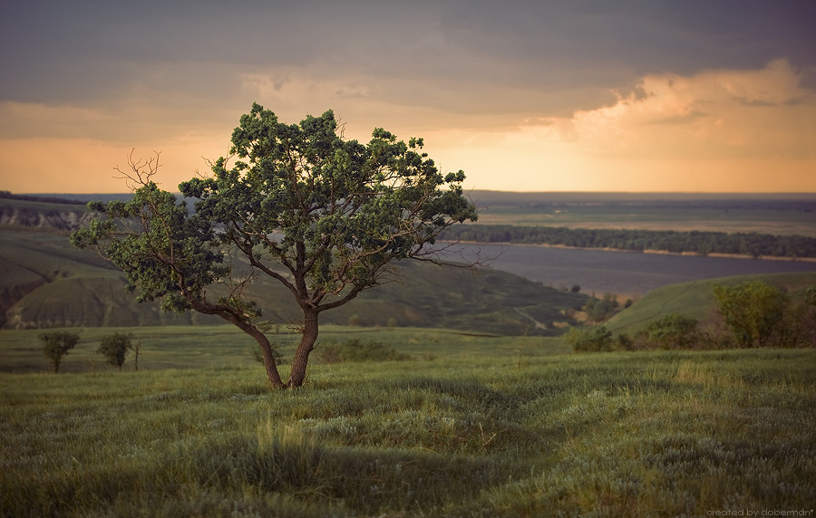 Фото жизнь (light) - Денис Богомолов - Landscapes - Куда приводят мечты