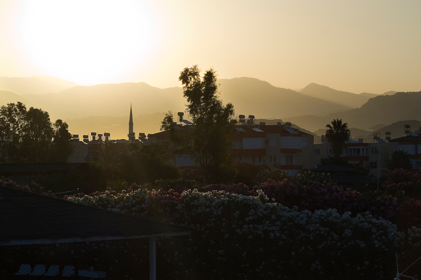 Фото жизнь (light) - CKira - корневой каталог - утро