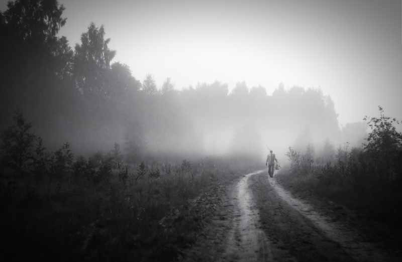 Фото жизнь (light) - MEgBEgb - корневой каталог - В туман...