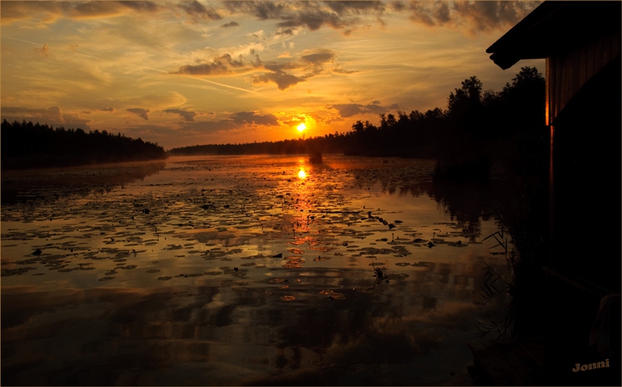 Фото жизнь