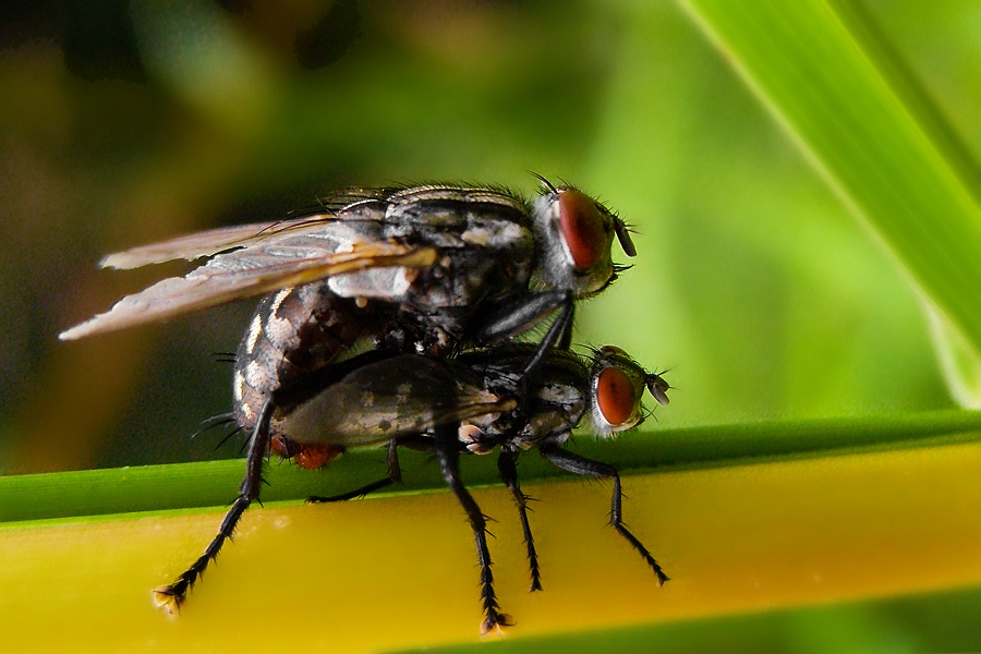 Фото жизнь (light) - Владимир Осауленко - корневой каталог - милая! я подарю тебе всю вселенную...