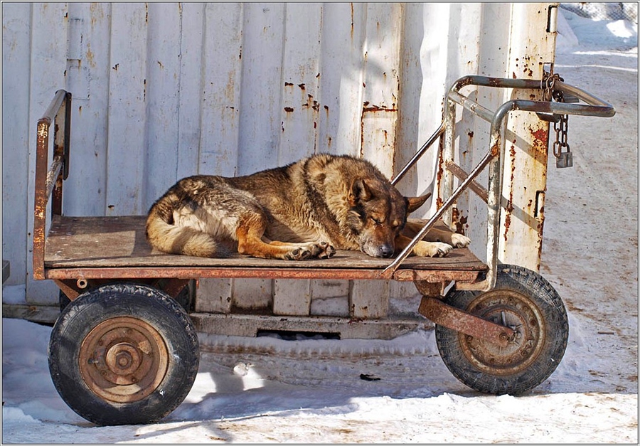 Фото жизнь