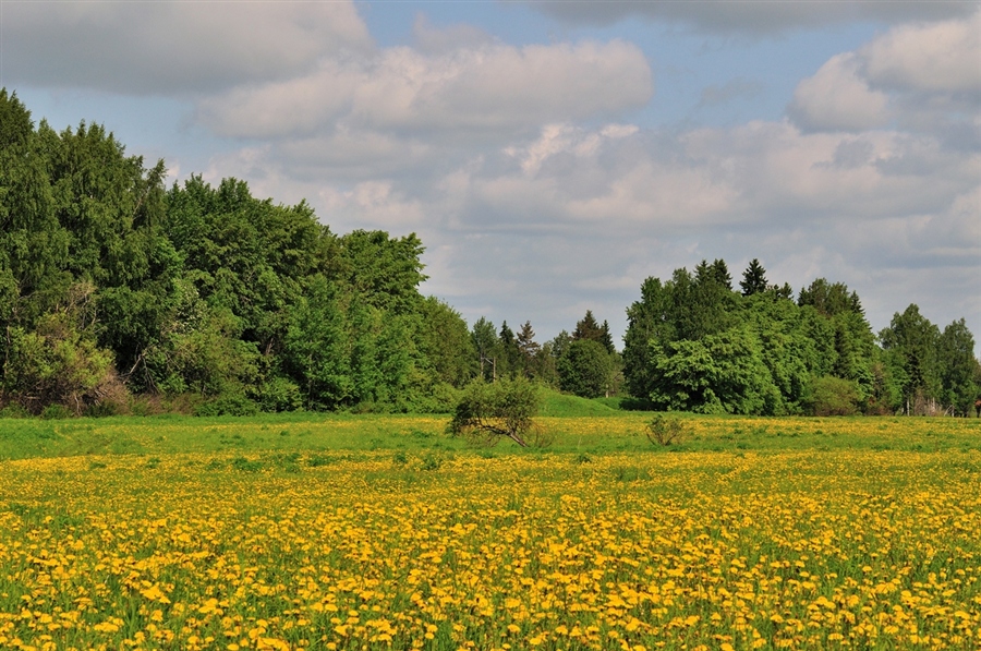 Фото жизнь