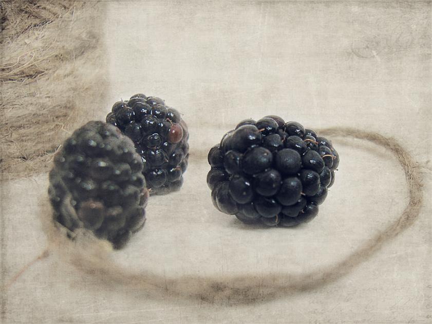 Фото жизнь (light) - vooky - no waste detales  - blueberries