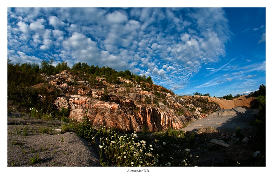 Фото жизнь