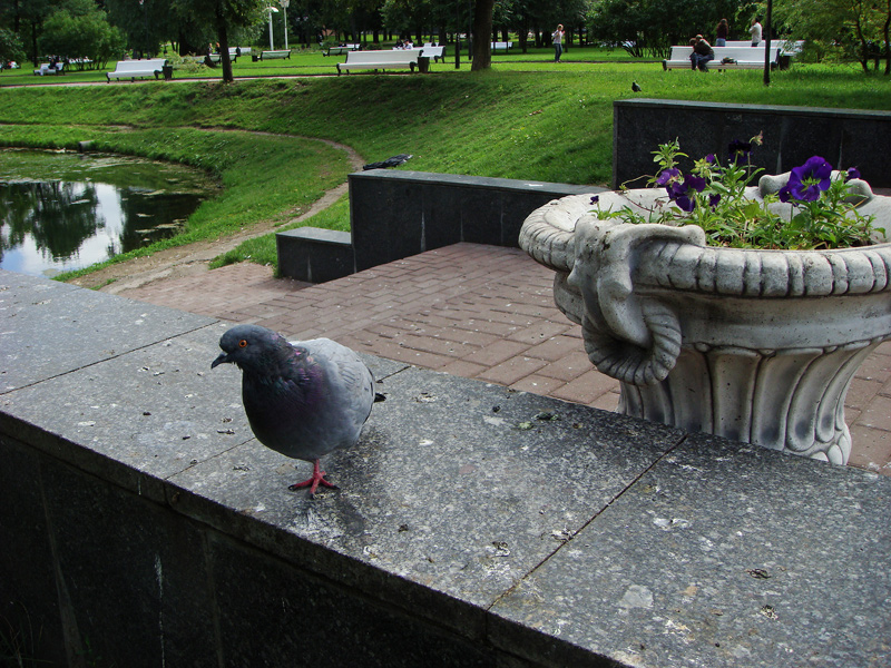 Фото жизнь