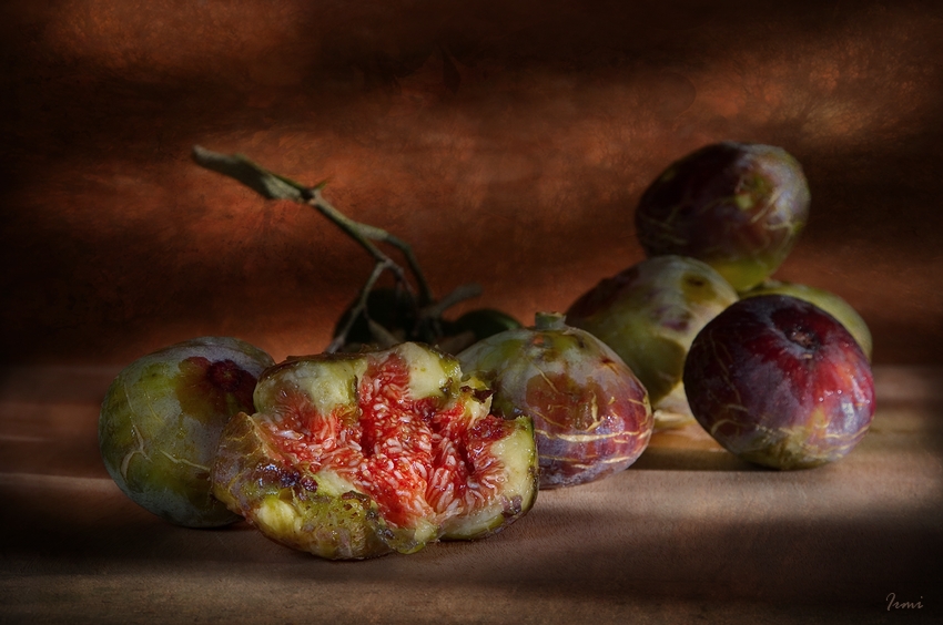 Фото жизнь - Irmi - Натюрморт - Древнейший плод Земли