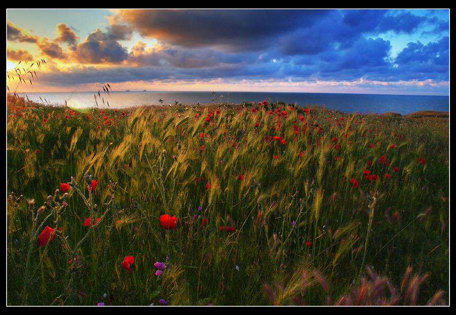 Фото жизнь (light) - Kravchenko Aleksandr - пейзажи - ***