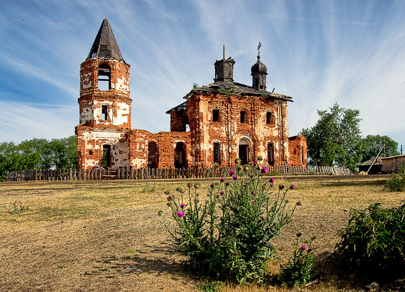 Фото жизнь (light) - Aushra - композиция - чертополох 2