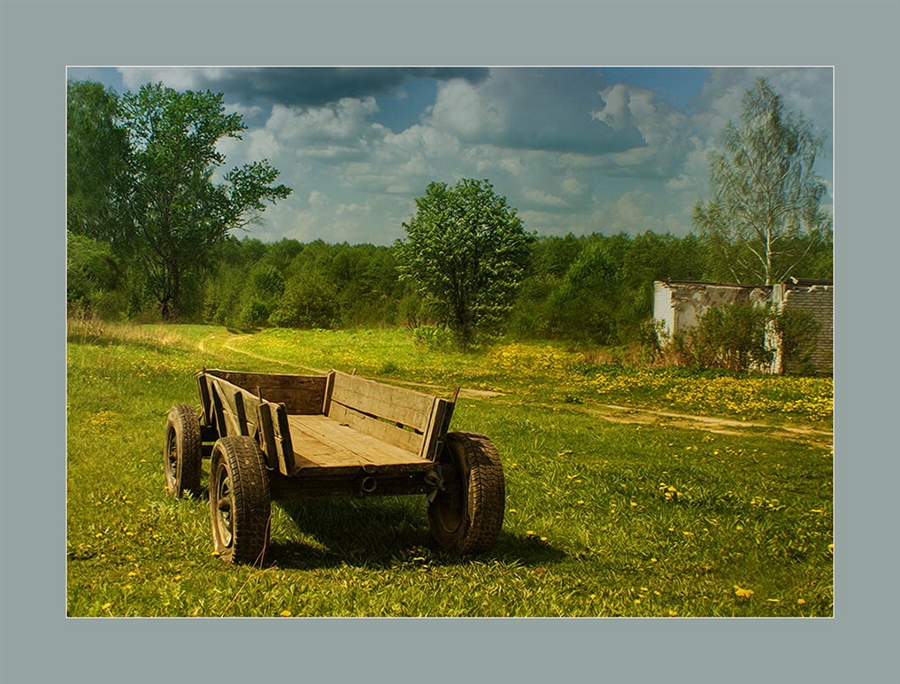 Фото жизнь