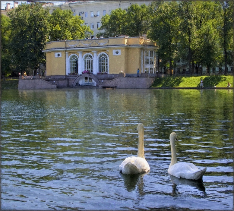 Фото жизнь