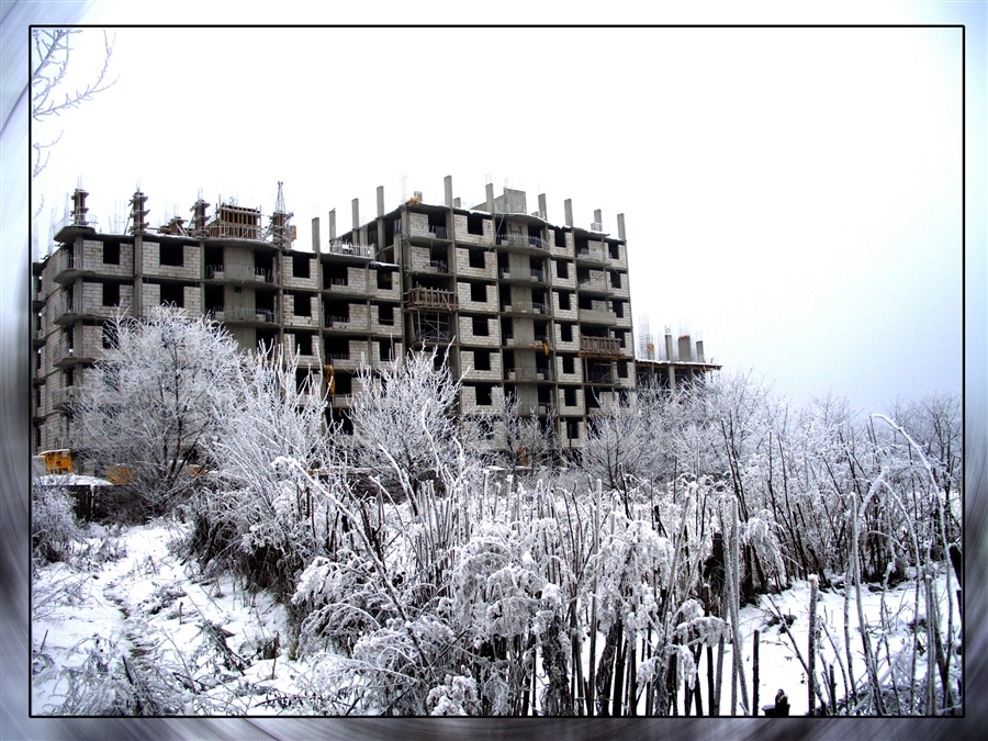 Фото жизнь