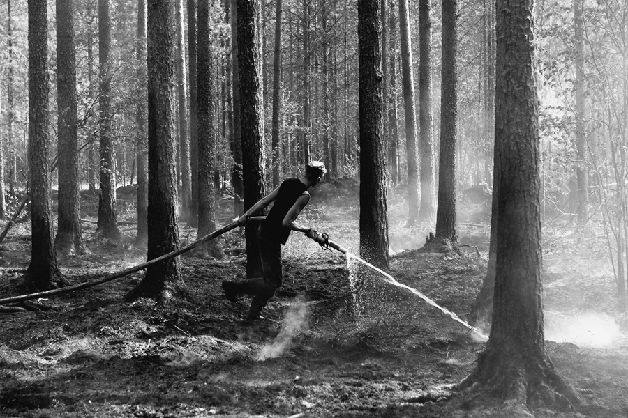 Фото жизнь (light) - Алексеенко Алексей  - корневой каталог - лесной пожар