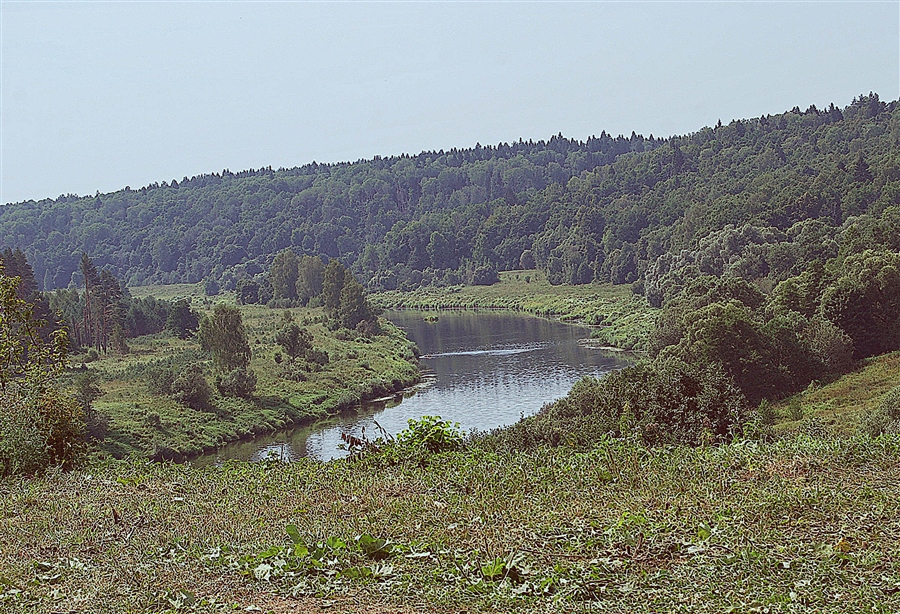 Фото жизнь