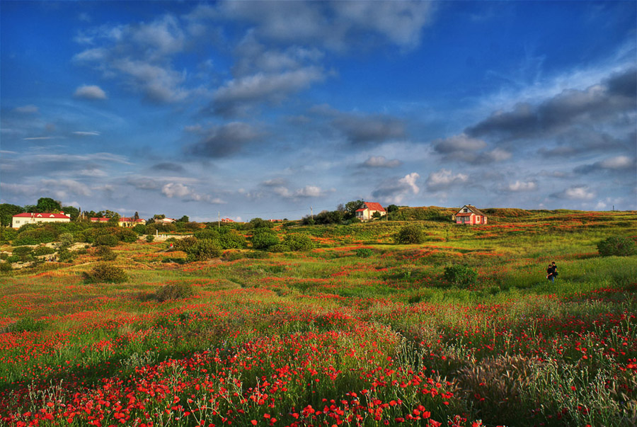 Фото жизнь (light) - Kravchenko Aleksandr - пейзажи - ***