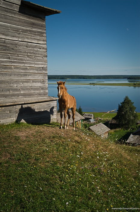 Фото жизнь