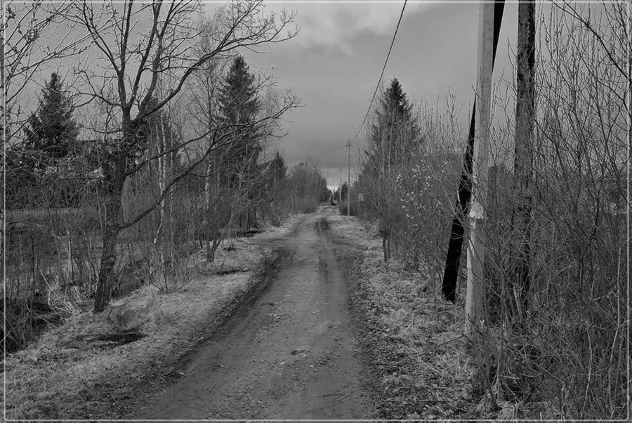 Фото жизнь