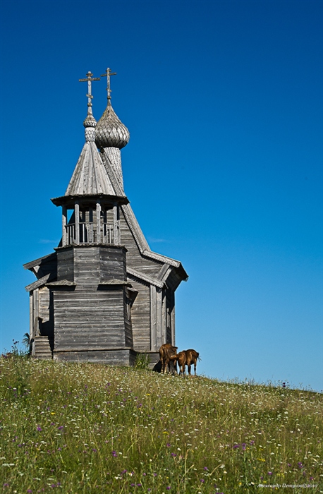 Фото жизнь