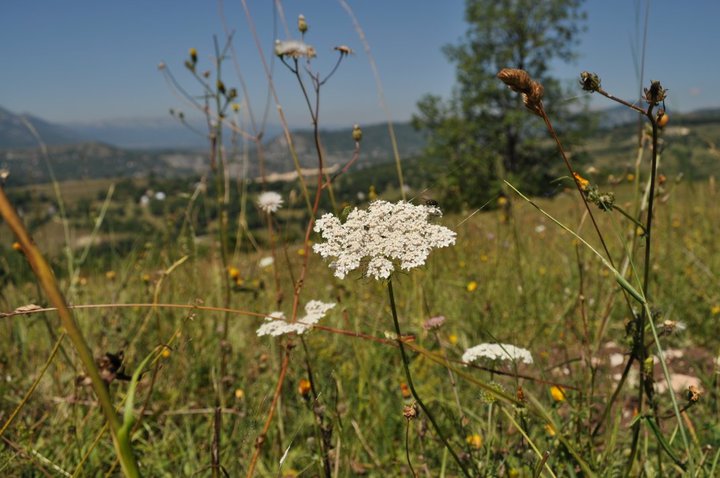 Фото жизнь (light) - Sergey Verzilin - Учусь  - *