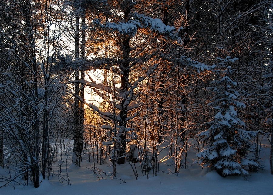 Фото жизнь