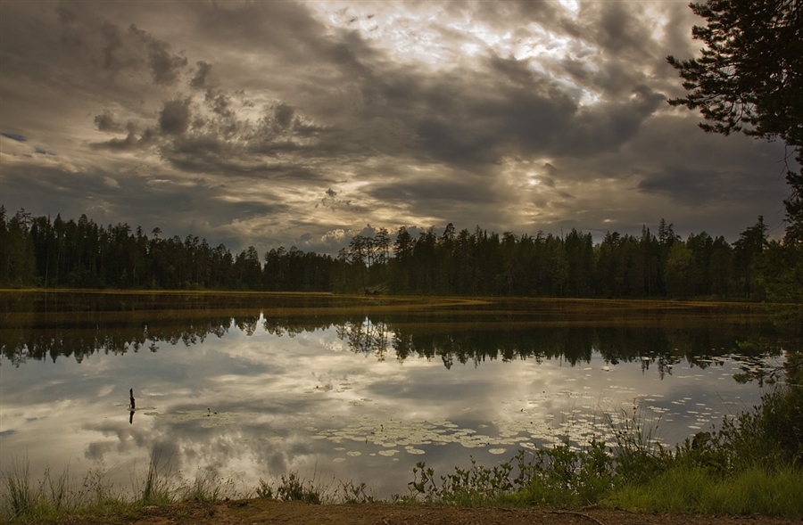 Фото жизнь