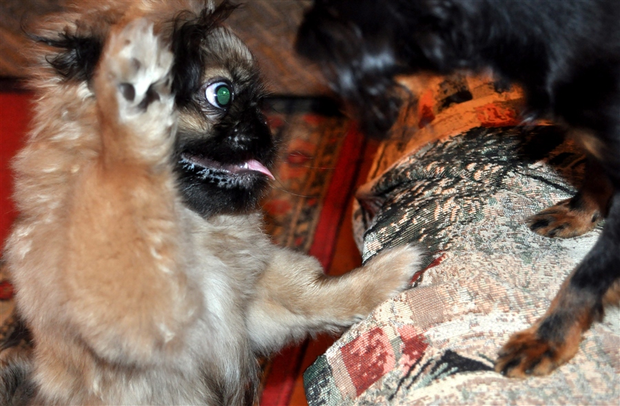 неожиданно)