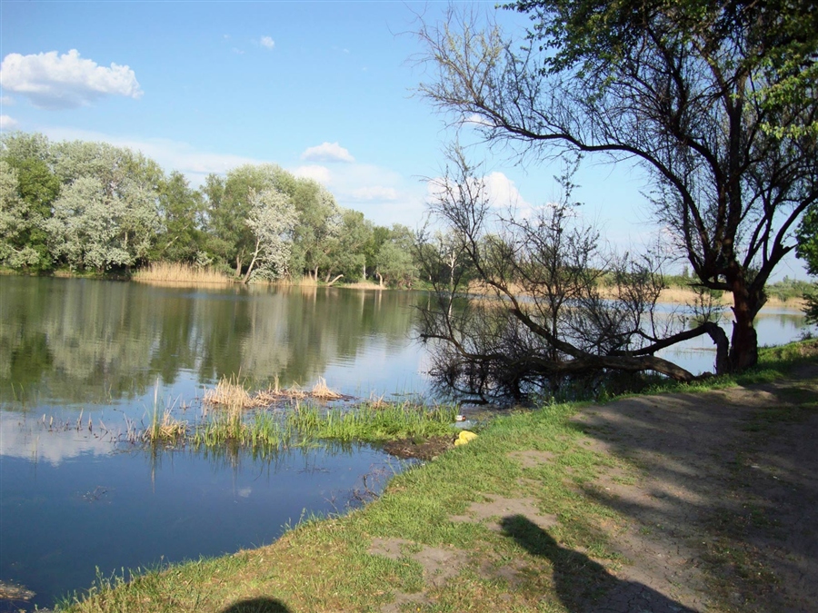 Фото жизнь